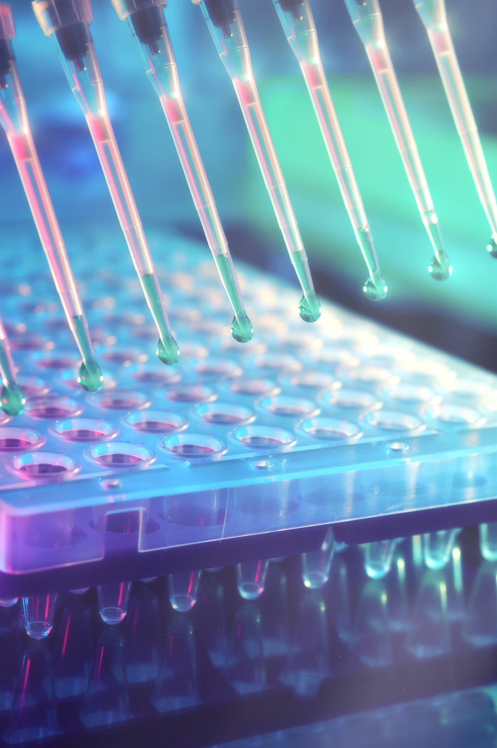 Upscience Webinaire : spéciation animale - Upscience
